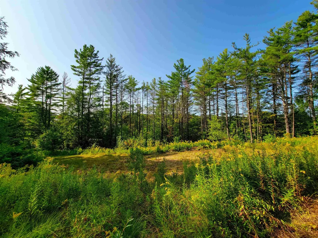 4440 Big Hollow Road Starksboro VT 05487