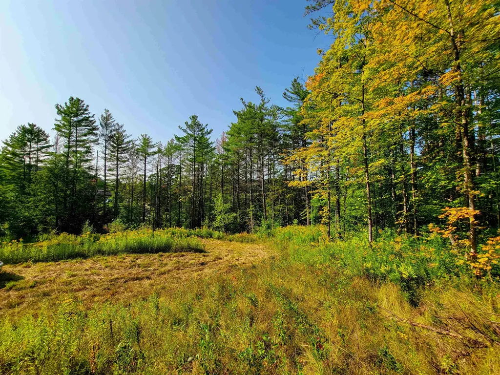 4440 Big Hollow Road Starksboro VT 05487