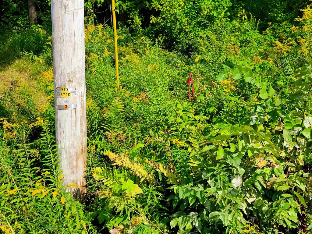 4440 Big Hollow Road Starksboro VT 05487