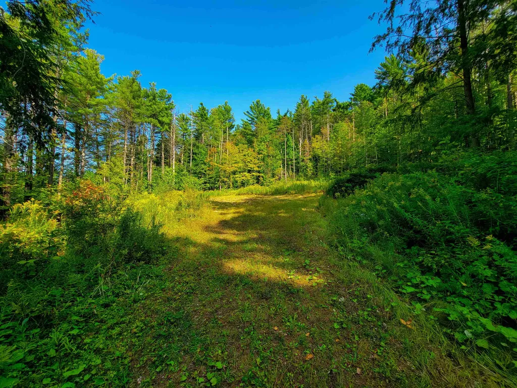 4440 Big Hollow Road Starksboro VT 05487