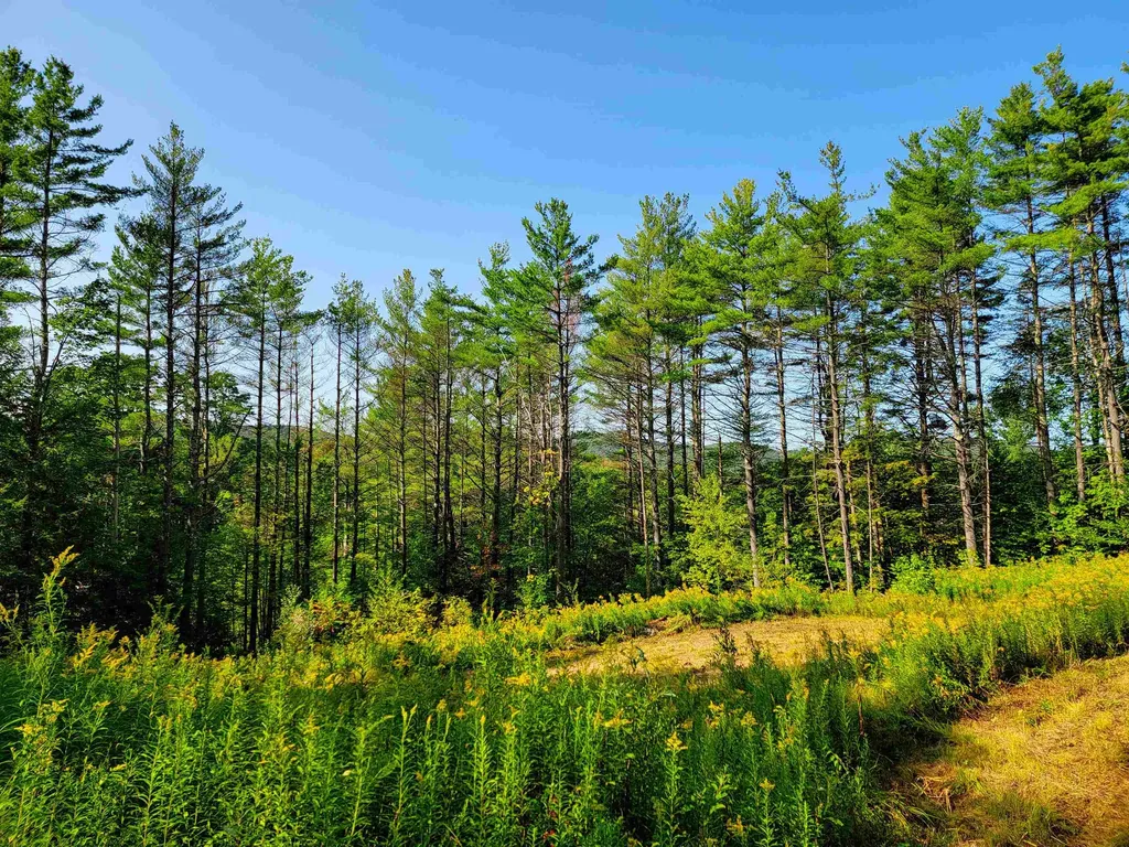 4440 Big Hollow Road Starksboro VT 05487