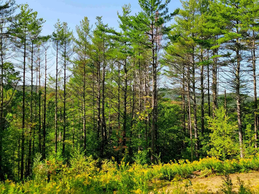 4440 Big Hollow Road Starksboro VT 05487