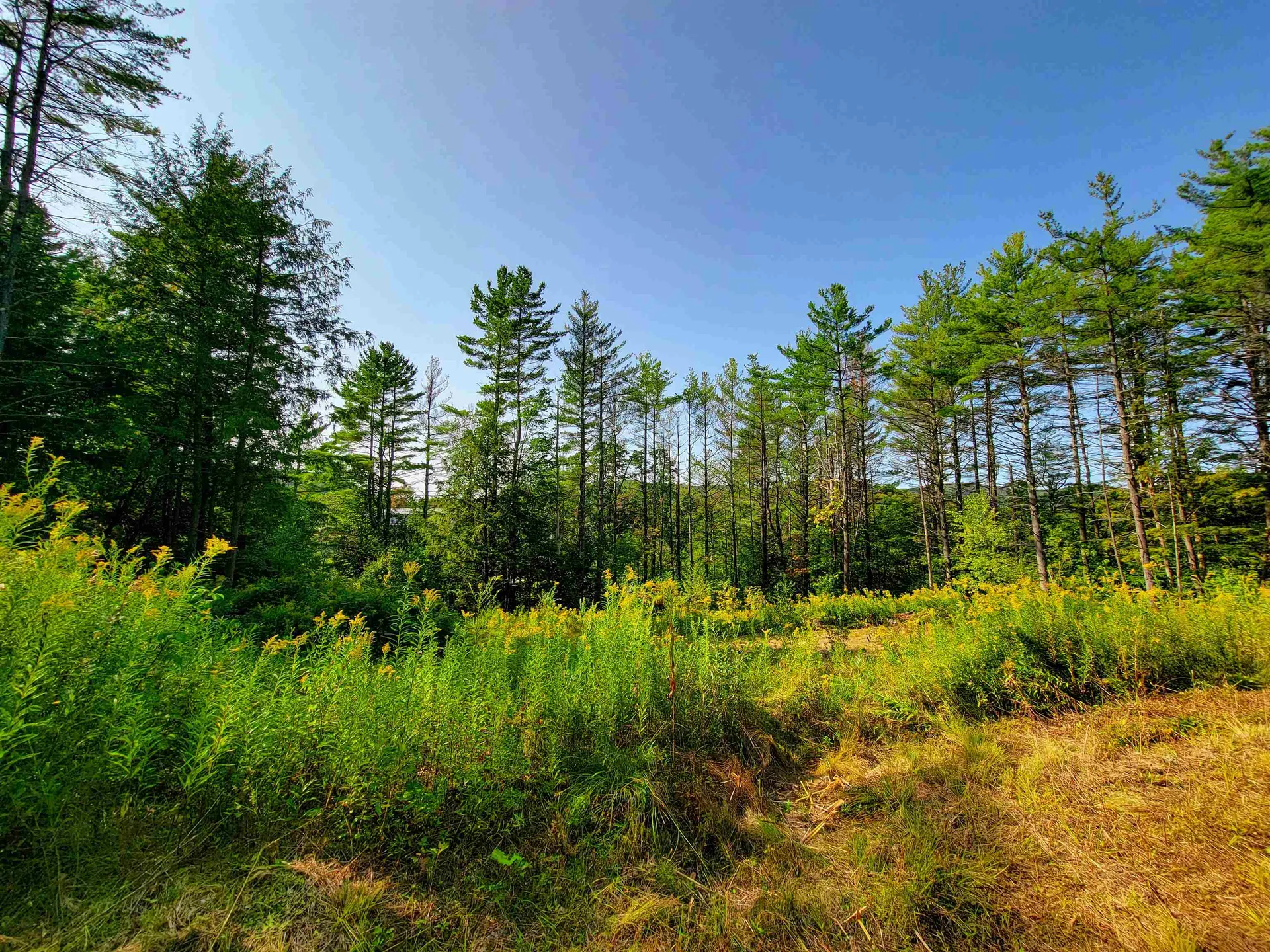 4440 Big Hollow Road Starksboro VT 05487