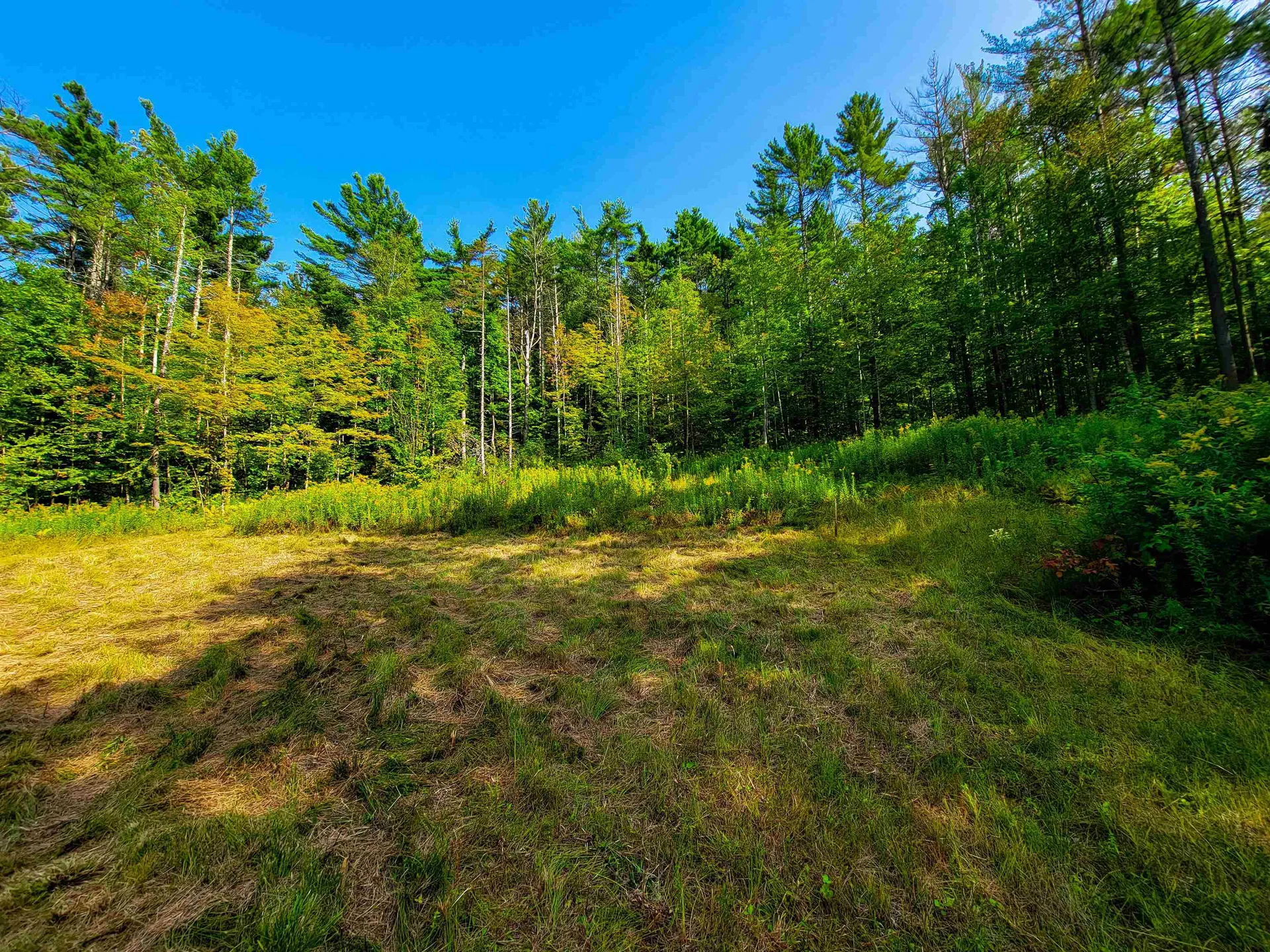 4440 Big Hollow Road Starksboro VT 05487