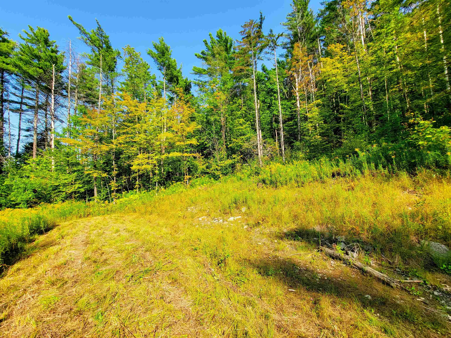 4440 Big Hollow Road Starksboro VT 05487