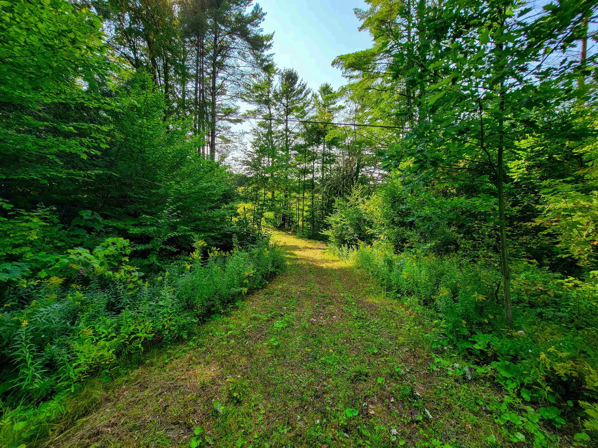 4440 Big Hollow Road Starksboro VT 05487