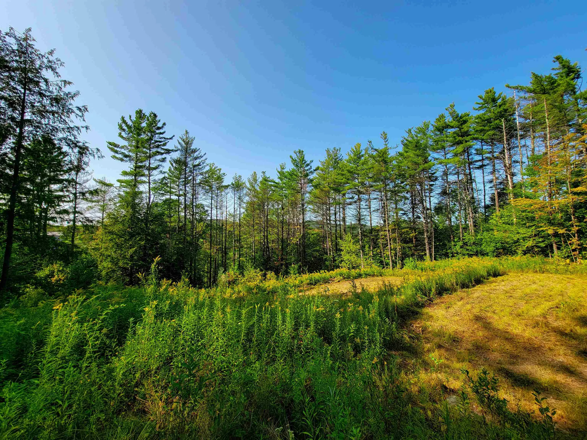 4440 Big Hollow Road Starksboro VT 05487