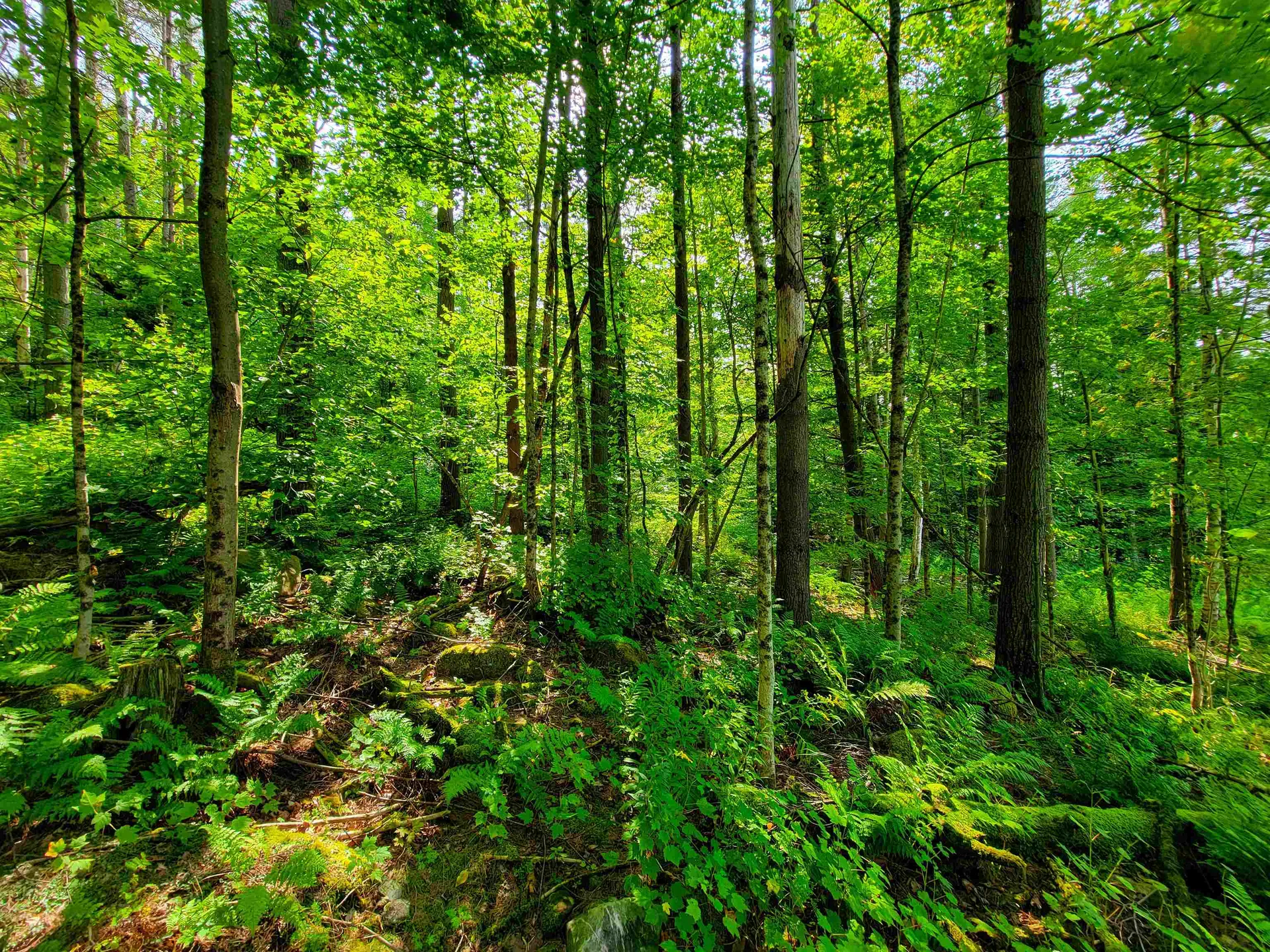 4440 Big Hollow Road Starksboro VT 05487