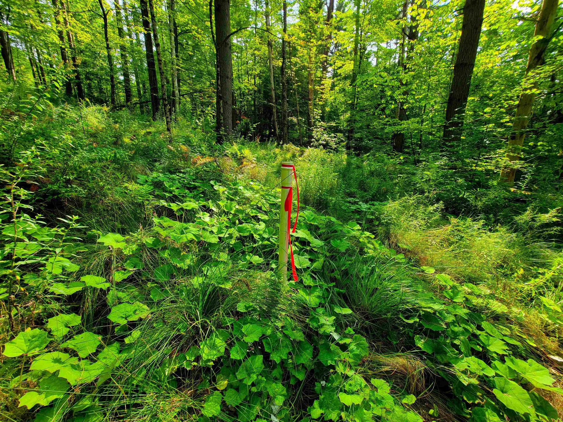 4440 Big Hollow Road Starksboro VT 05487