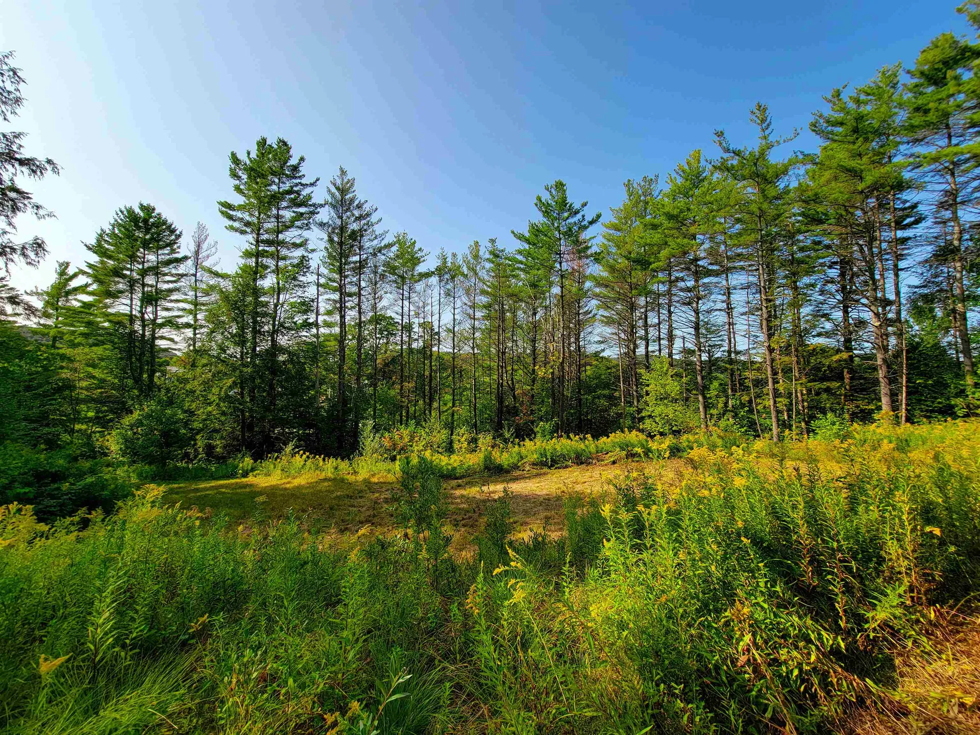 4440 Big Hollow Road Starksboro VT 05487