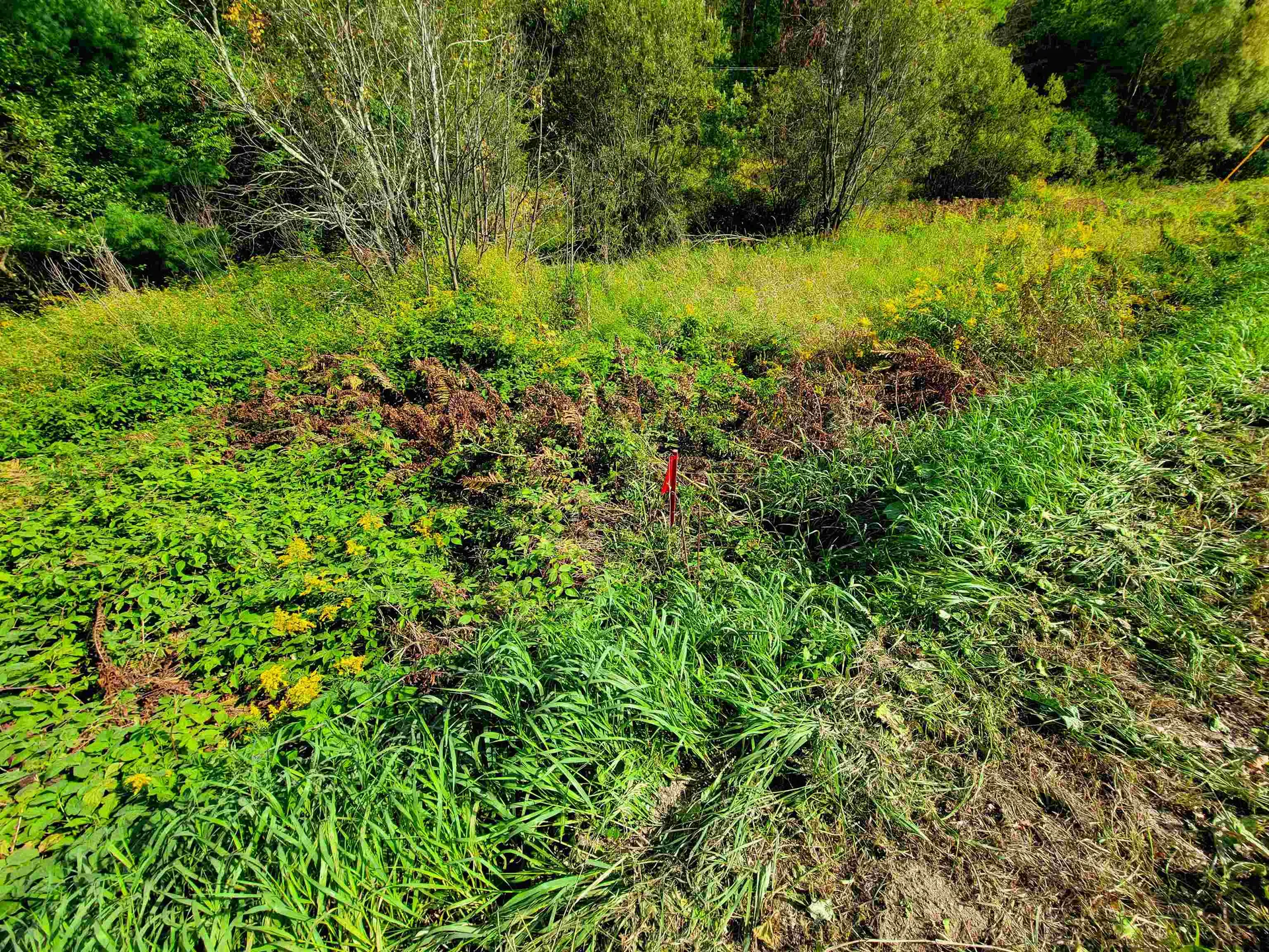 4440 Big Hollow Road Starksboro VT 05487