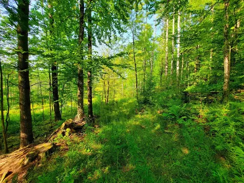 4440 Big Hollow Road Starksboro VT 05487