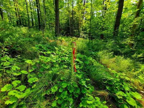 4440 Big Hollow Road Starksboro VT 05487