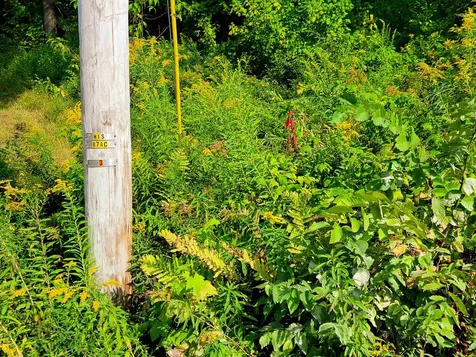 4440 Big Hollow Road Starksboro VT 05487