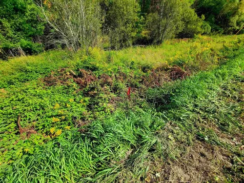 4440 Big Hollow Road Starksboro VT 05487