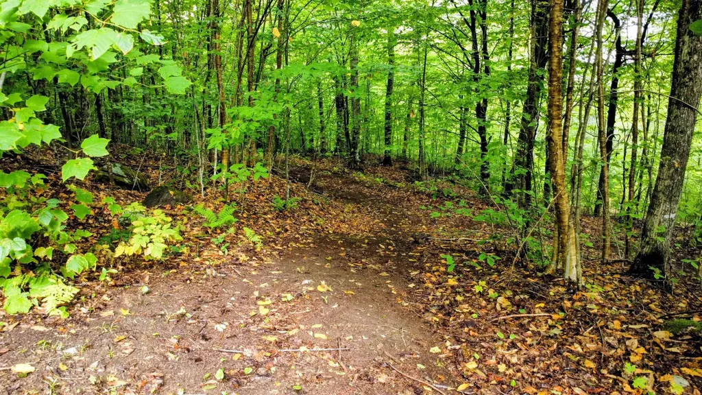 3781 Maplewood Road Corinth VT 05039