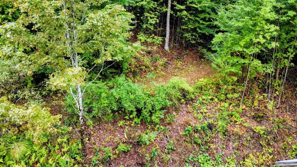 3781 Maplewood Road Corinth VT 05039