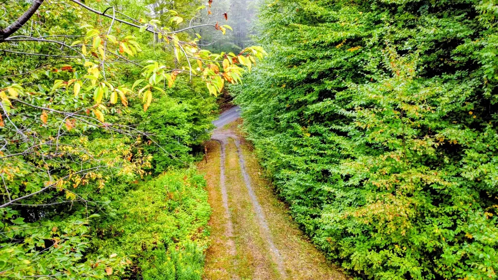 3781 Maplewood Road Corinth VT 05039