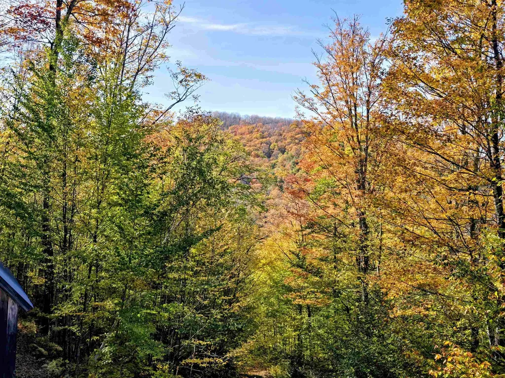 3781 Maplewood Road Corinth VT 05039