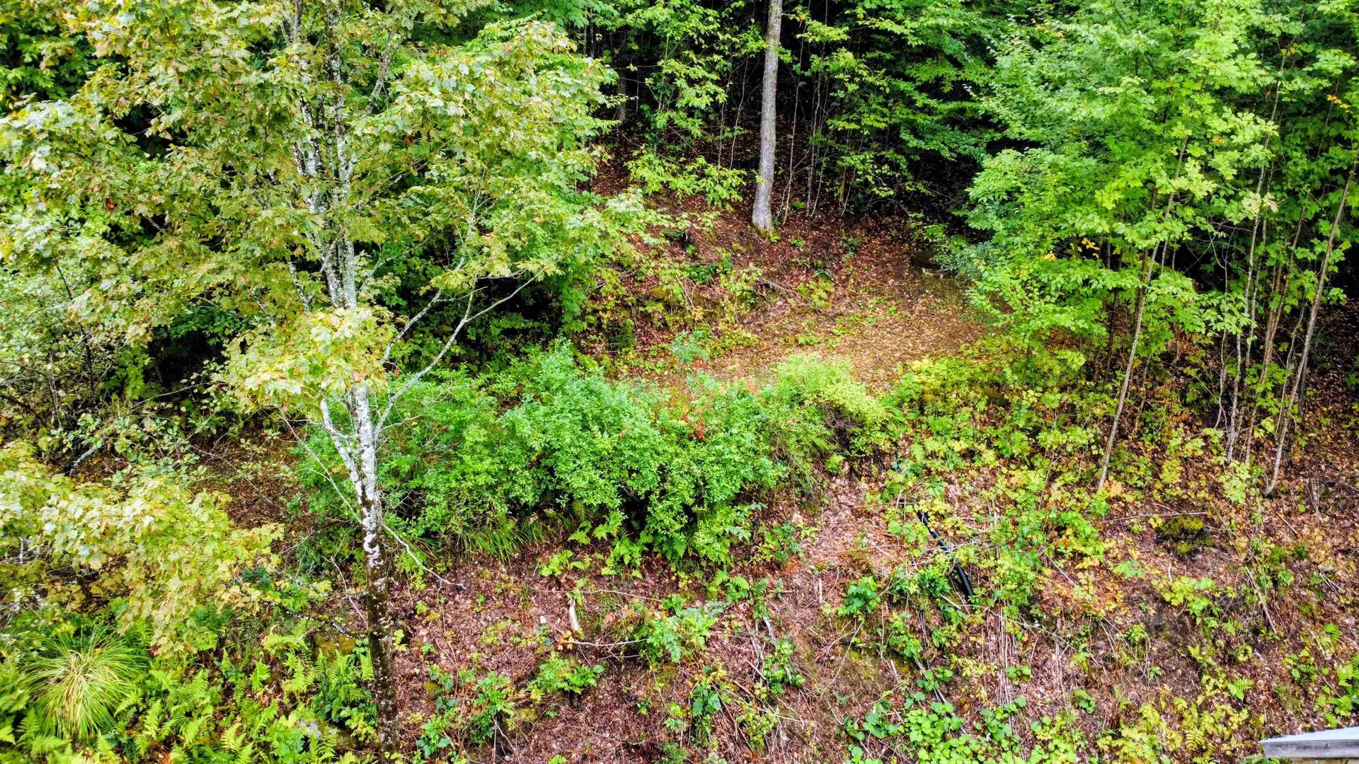 3781 Maplewood Road Corinth VT 05039