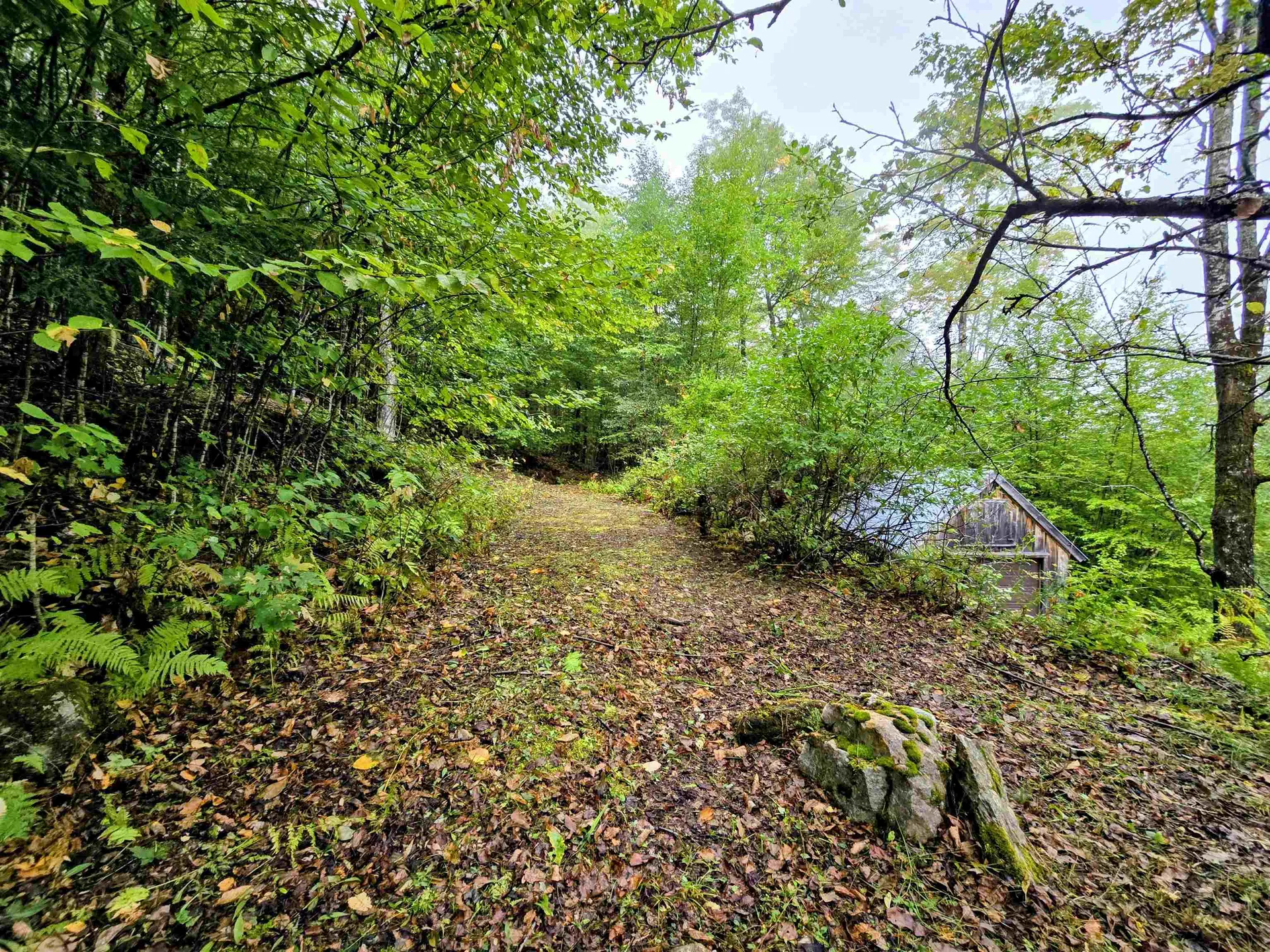 3781 Maplewood Road Corinth VT 05039