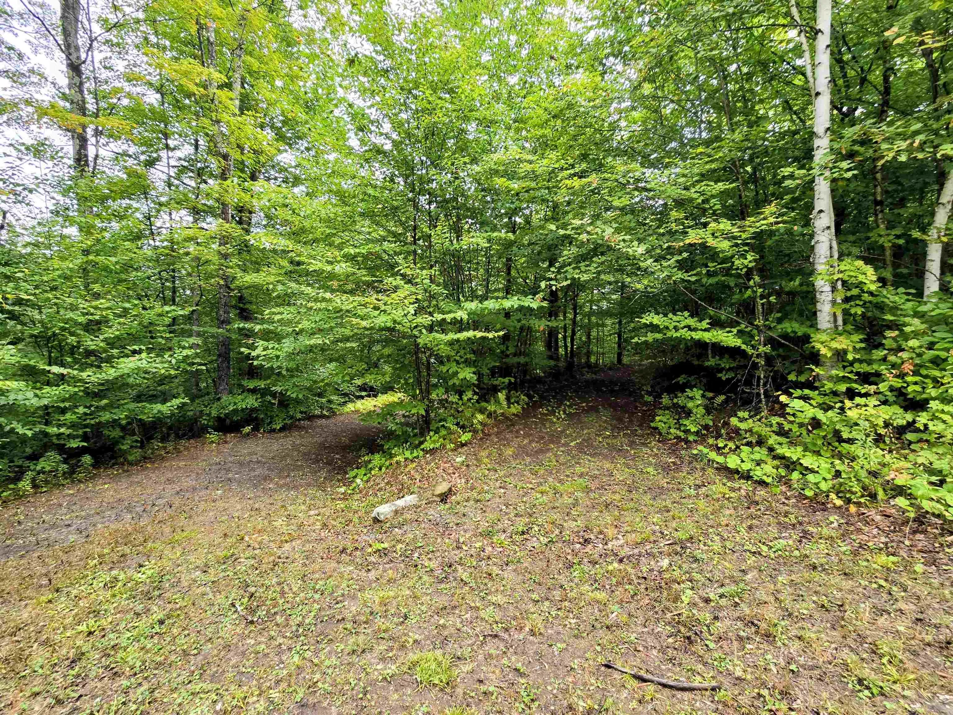 3781 Maplewood Road Corinth VT 05039