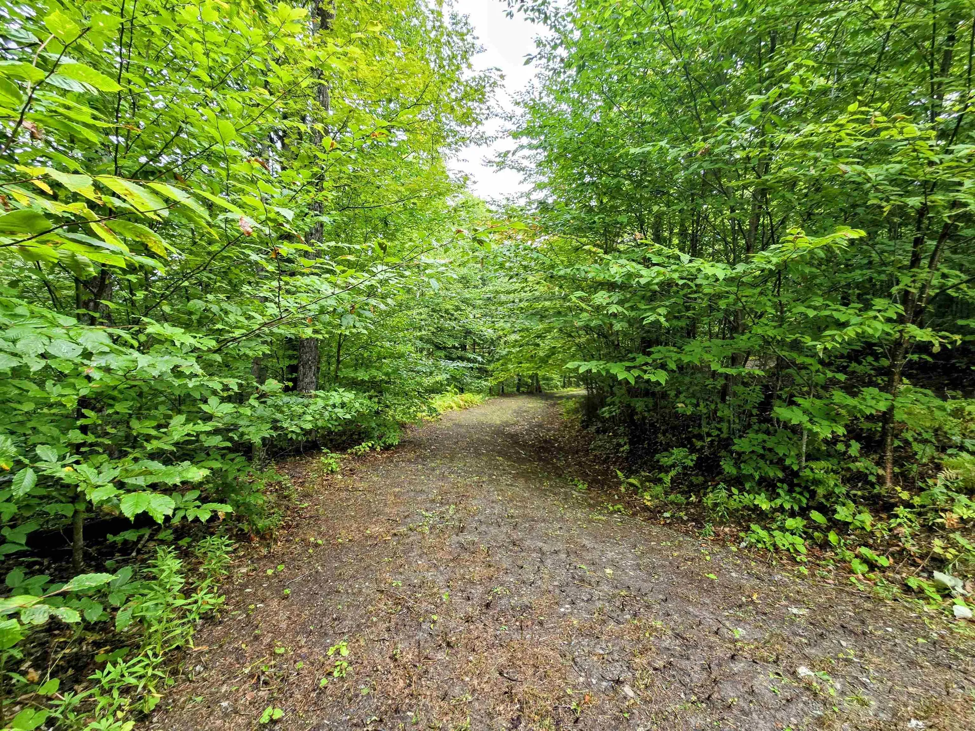 3781 Maplewood Road Corinth VT 05039