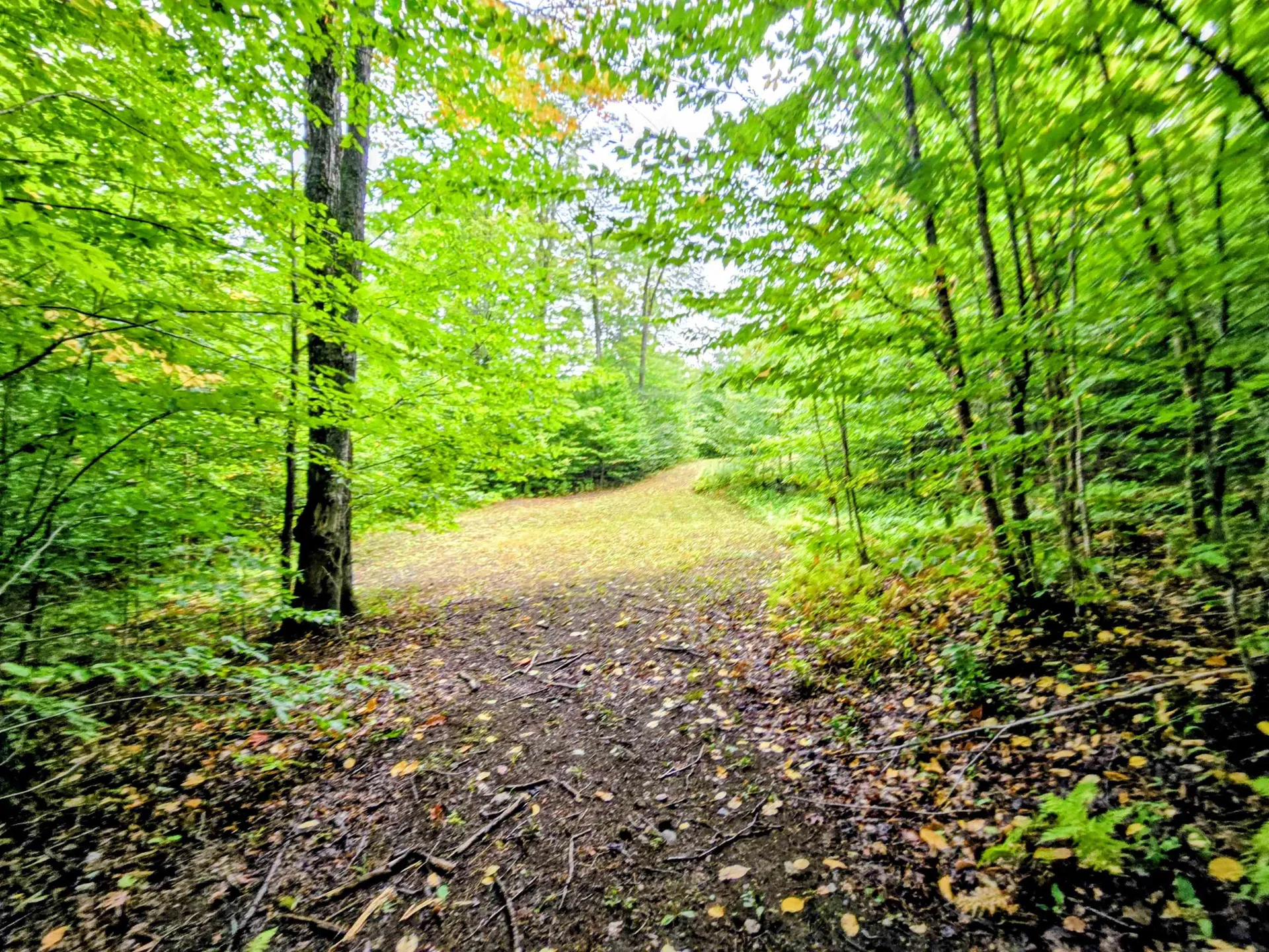 3781 Maplewood Road Corinth VT 05039