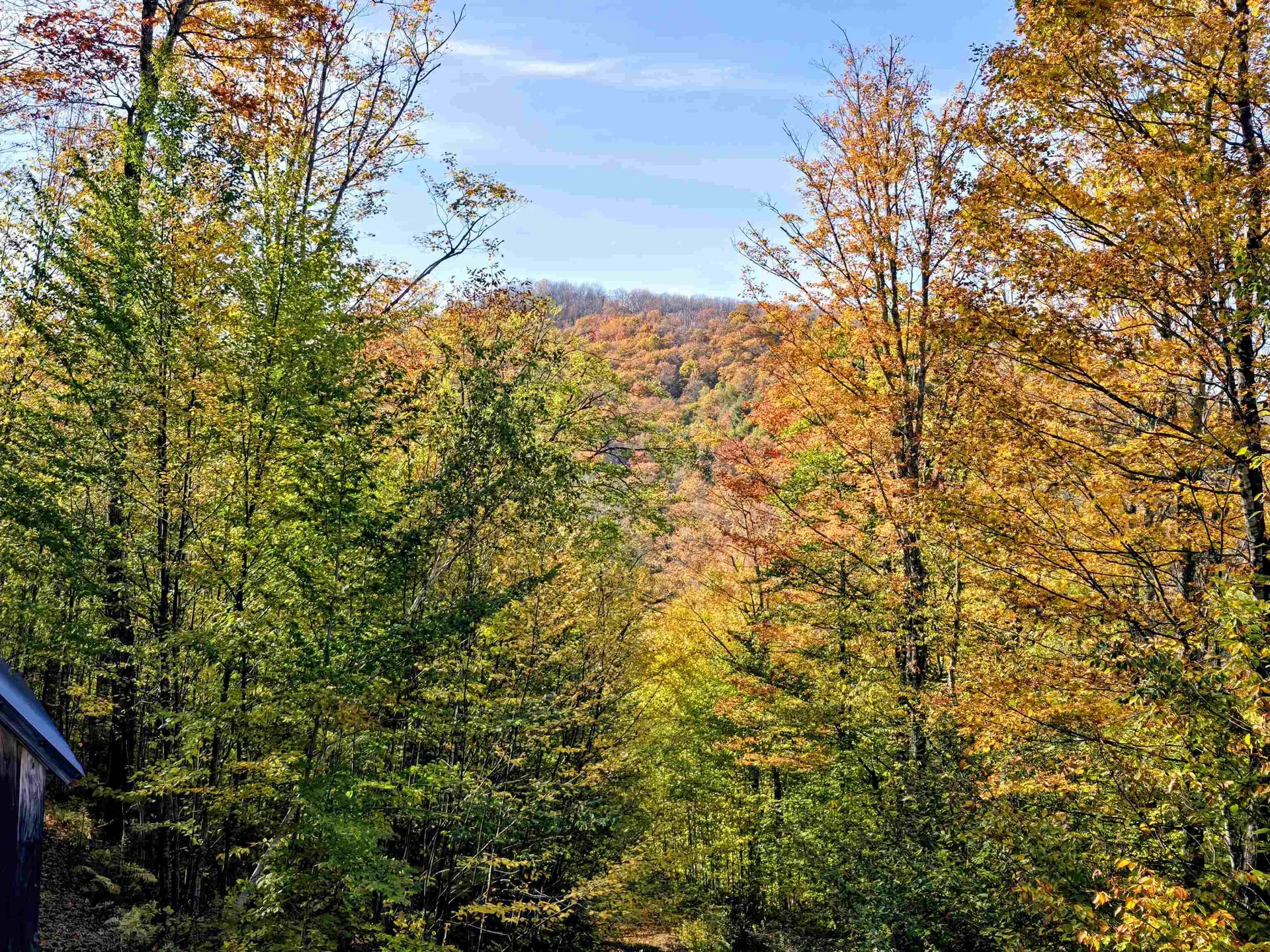 3781 Maplewood Road Corinth VT 05039