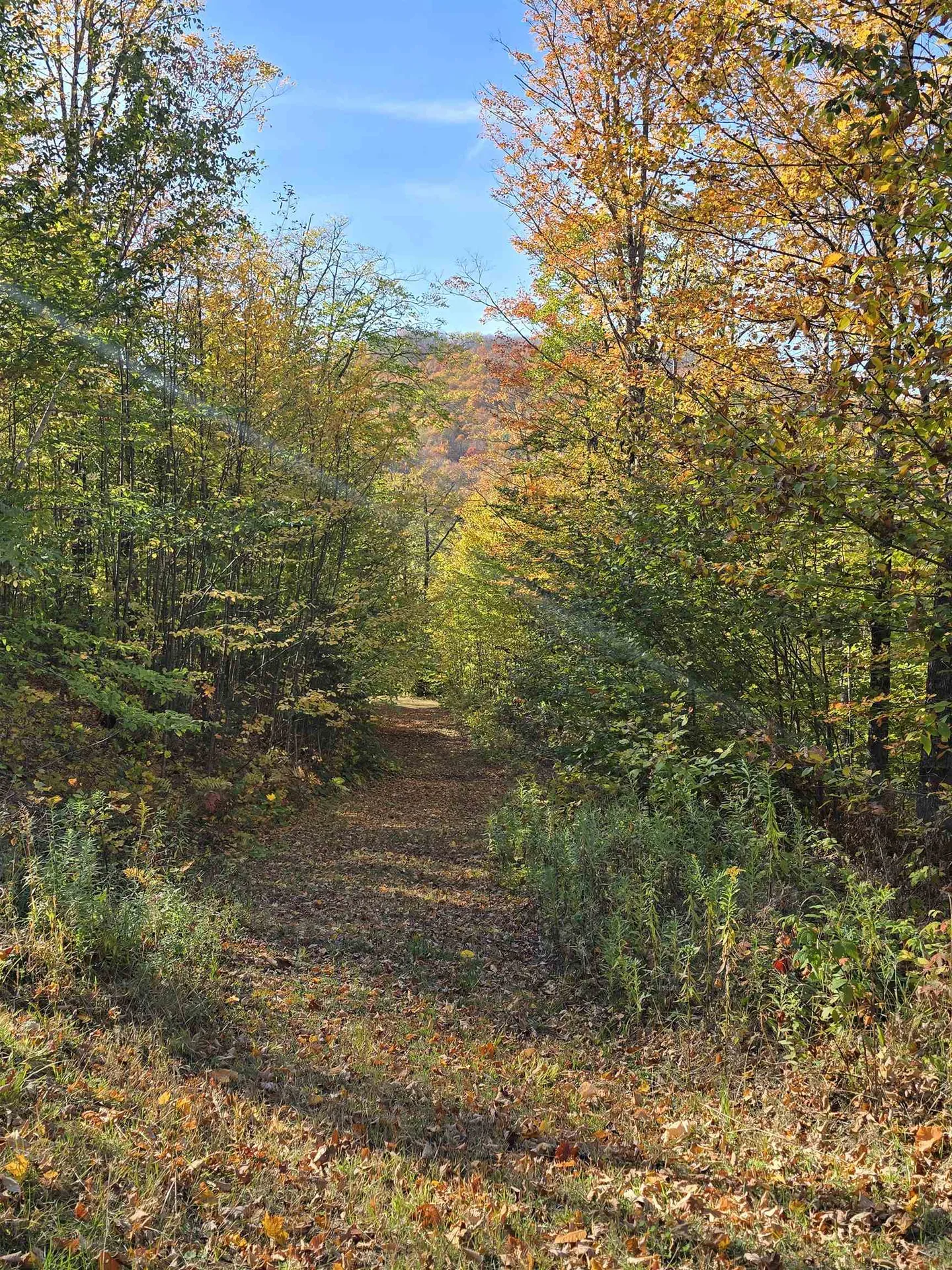 3781 Maplewood Road Corinth VT 05039