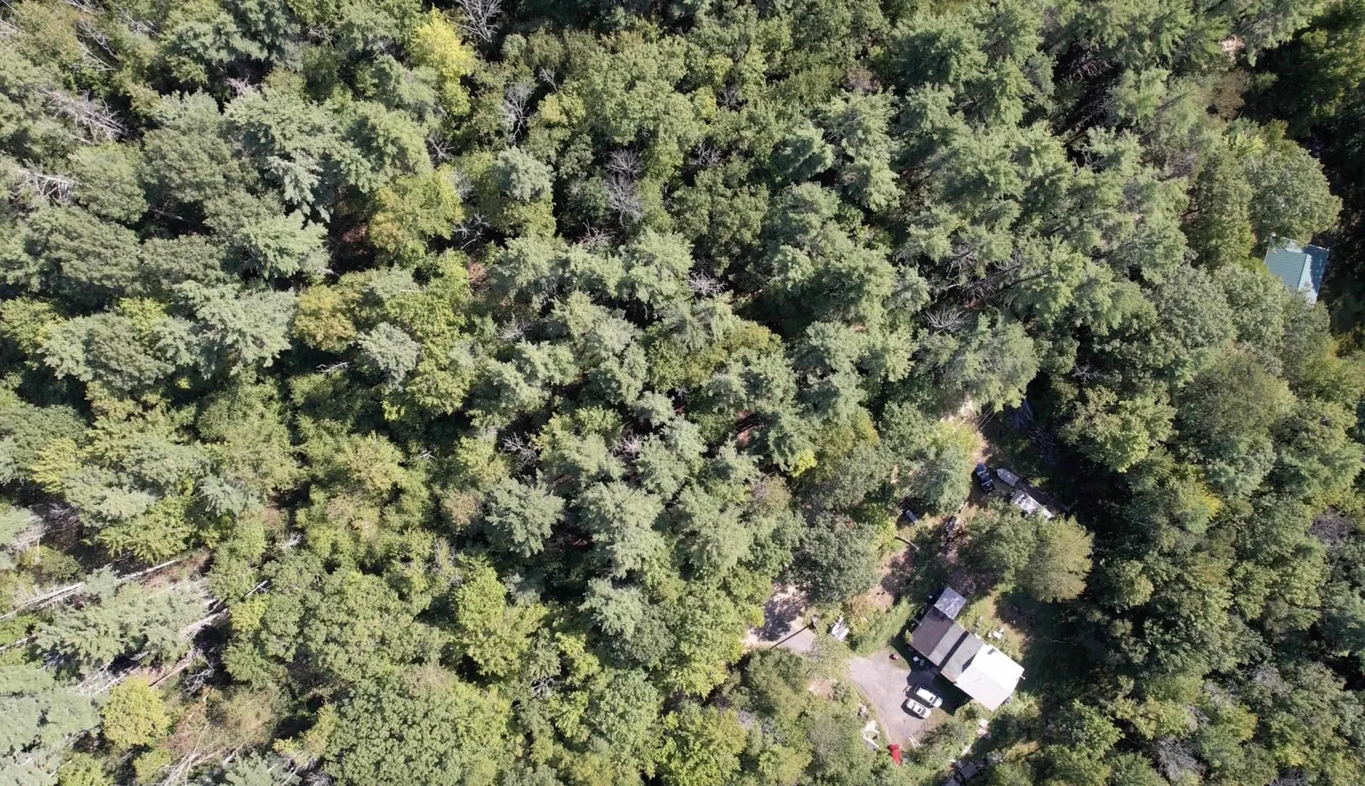 38 Chapelle Road Barnstead NH 03225