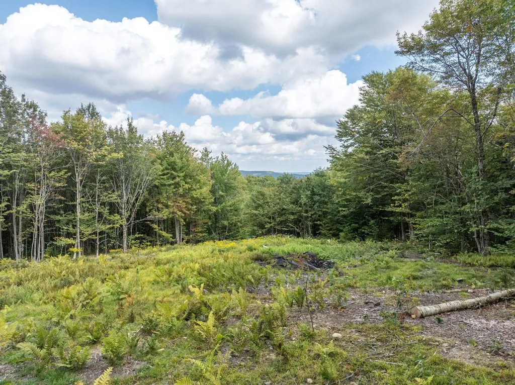 255 Route 8 Searsburg VT 05363