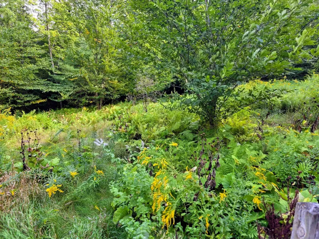 45 Henderson Road Nelson NH 03457