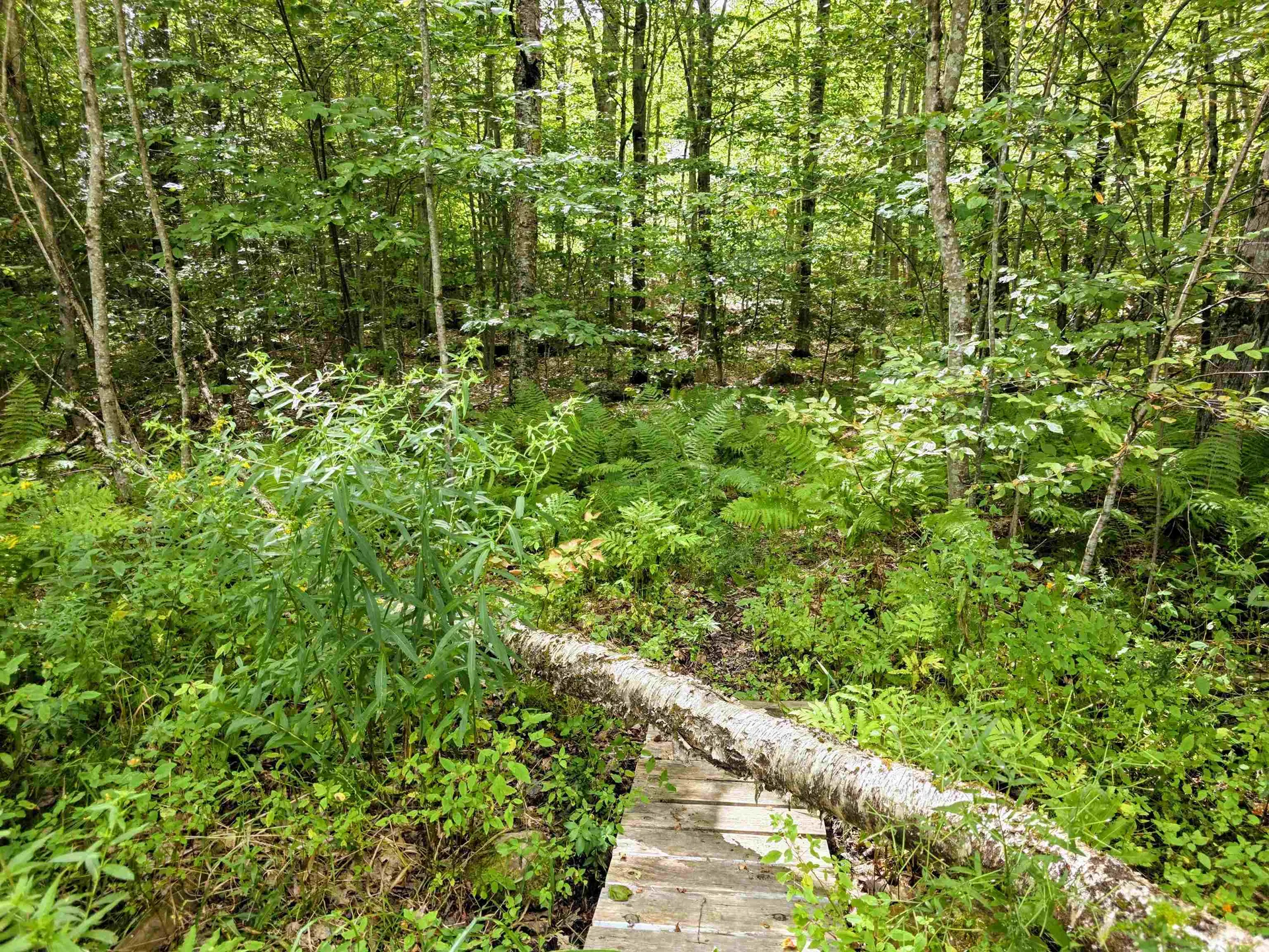 45 Henderson Road Nelson NH 03457