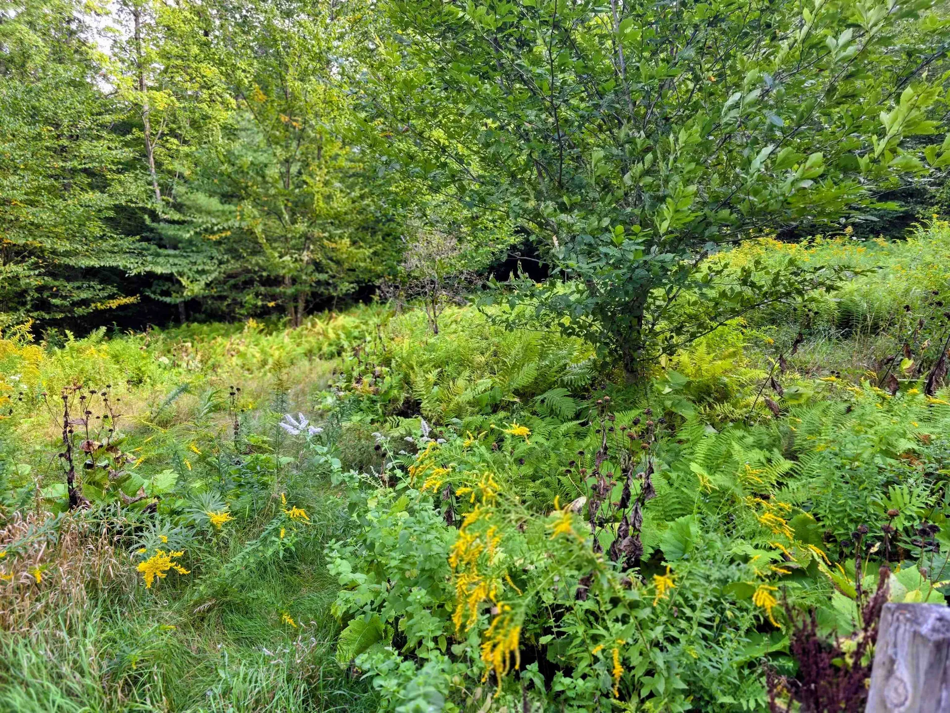 45 Henderson Road Nelson NH 03457