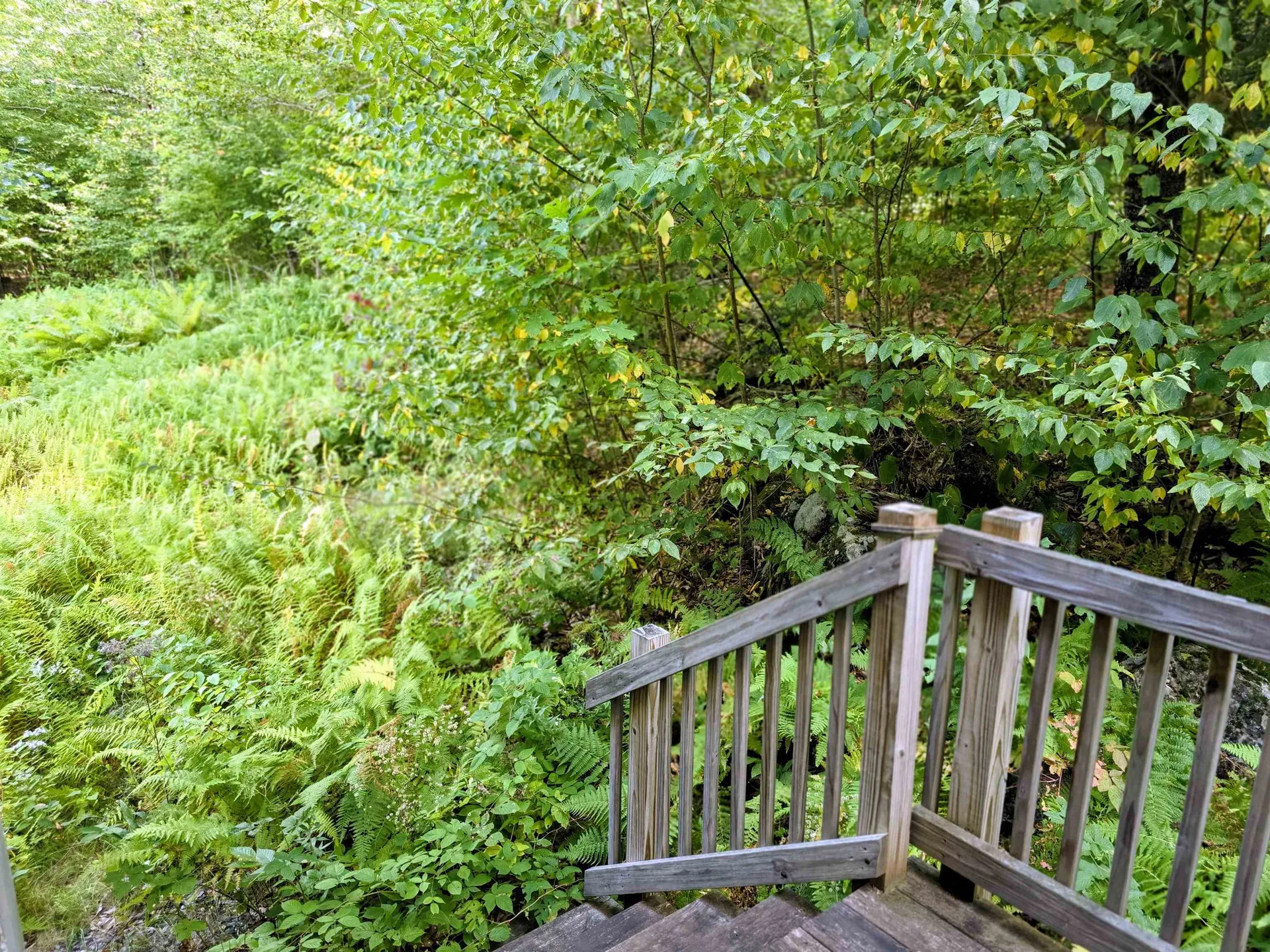 45 Henderson Road Nelson NH 03457