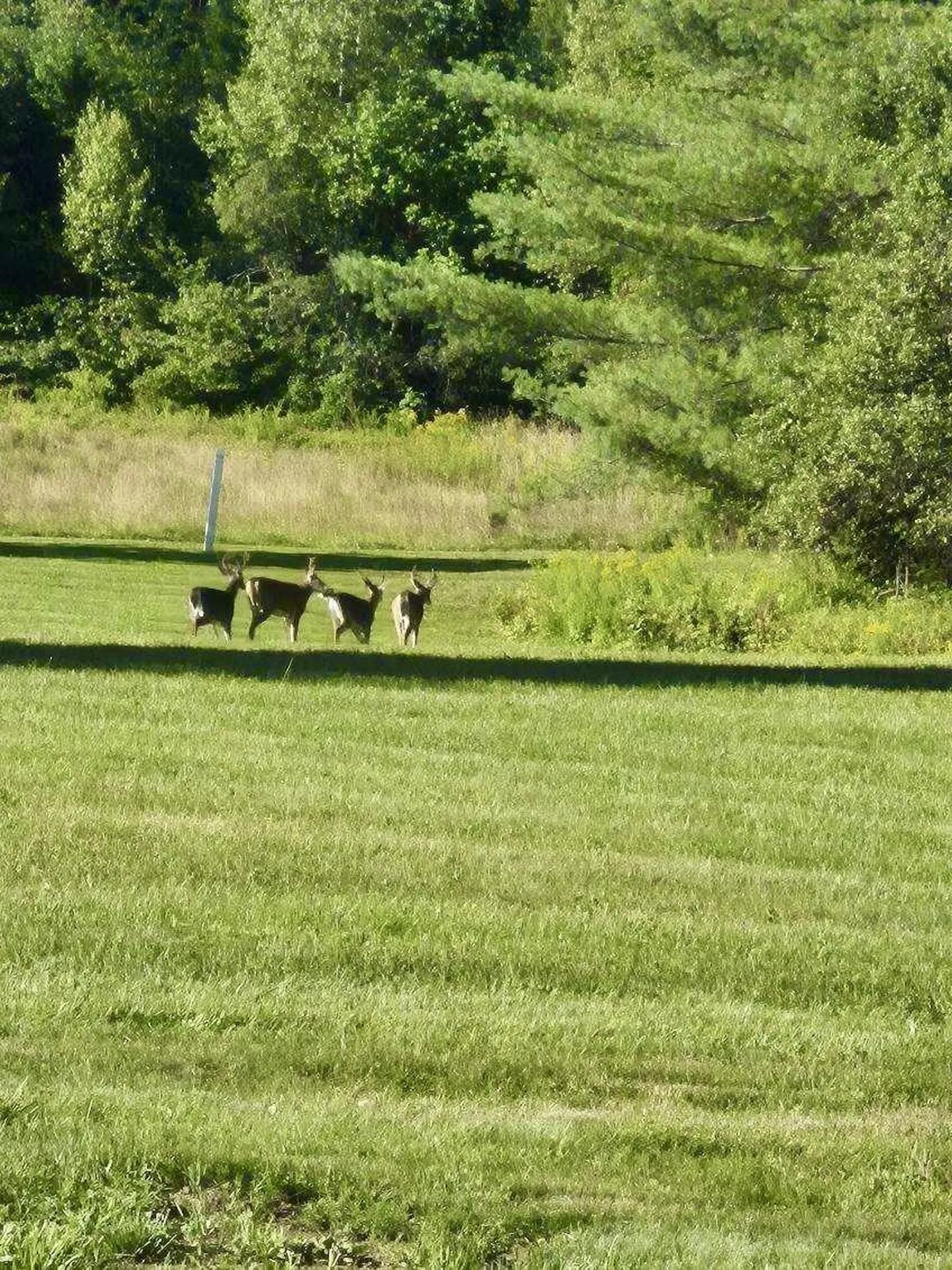 301 Pope Road Lowell VT 05847