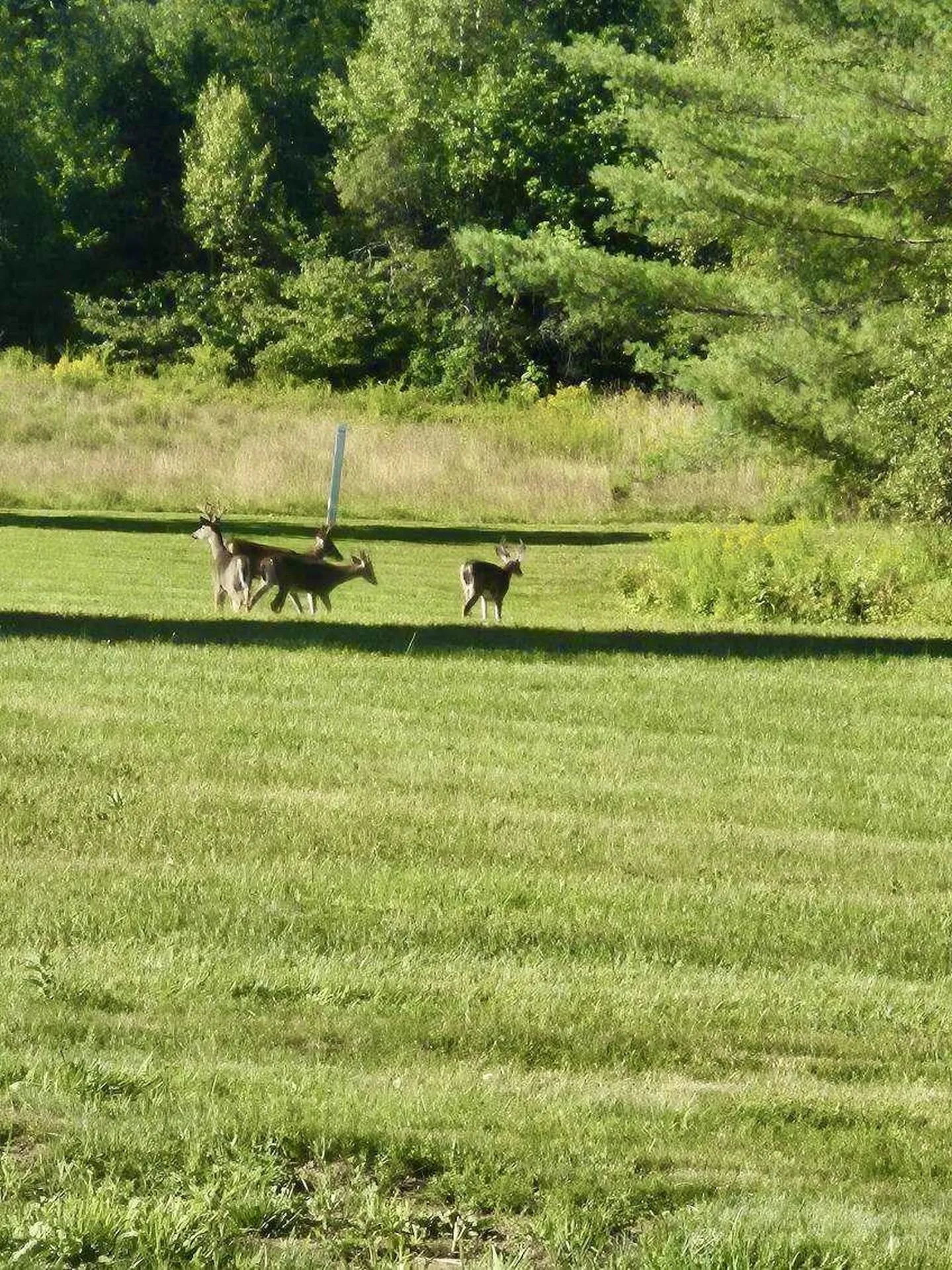 301 Pope Road Lowell VT 05847