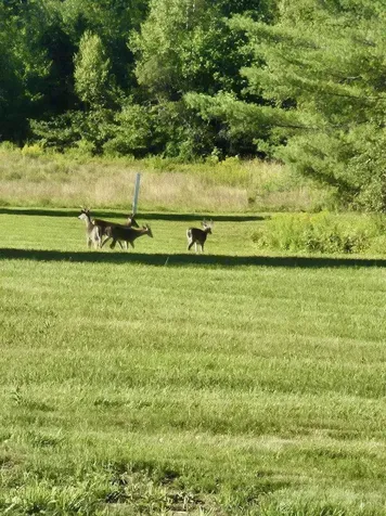 301 Pope Road Lowell VT 05847