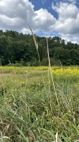 624 Bishop Road Lisbon NH 03585