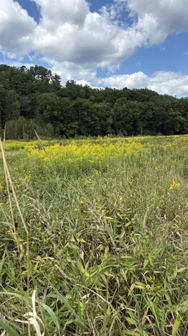 624 Bishop Road Lisbon NH 03585