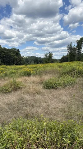 624 Bishop Road Lisbon NH 03585