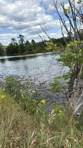 624 Bishop Road Lisbon NH 03585