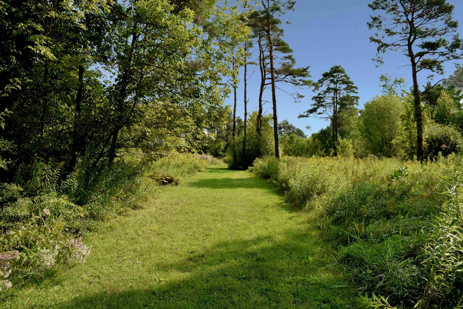 183 Evergreen Lane Ferrisburgh VT 05473