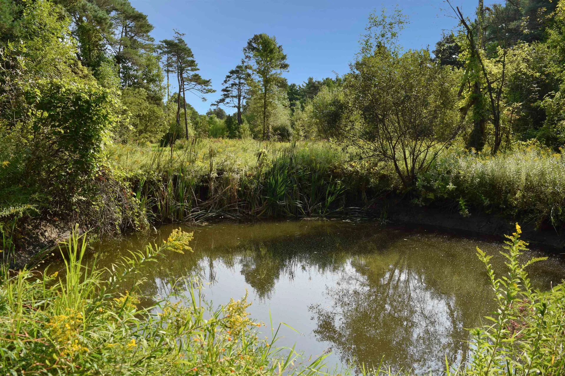 183 Evergreen Lane Ferrisburgh VT 05473