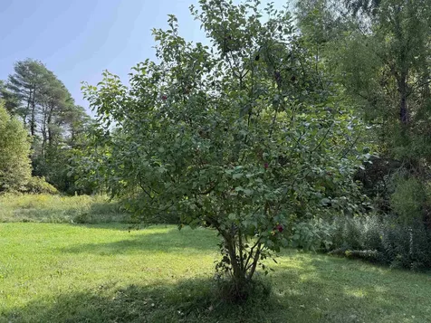 183 Evergreen Lane Ferrisburgh VT 05473