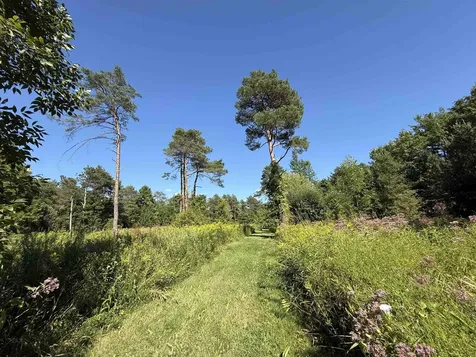 183 Evergreen Lane Ferrisburgh VT 05473