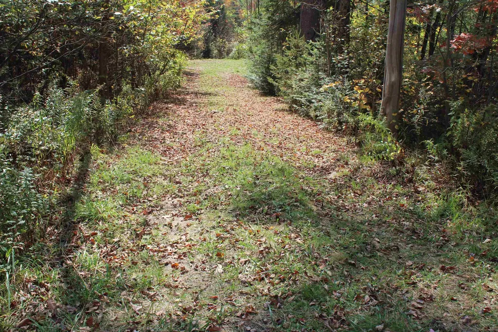 00 Miles Pond Road Concord VT 05824