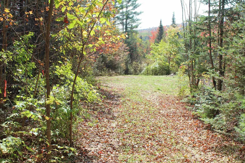 00 Miles Pond Road Concord VT 05824