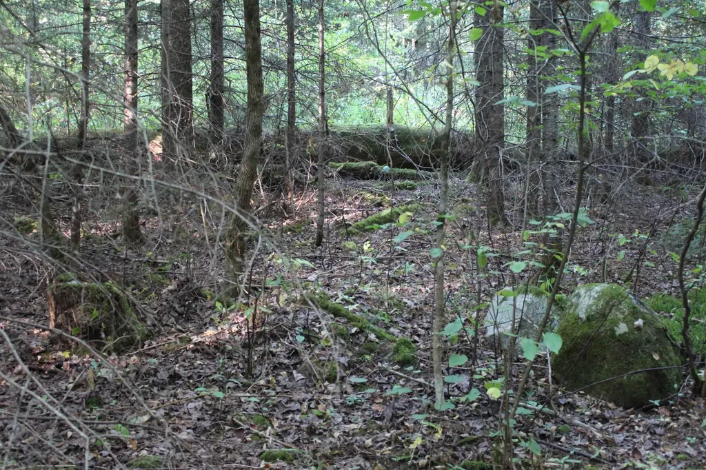 00 Miles Pond Road Concord VT 05824